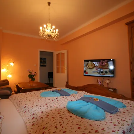 Appartement No. 7 Horova 8